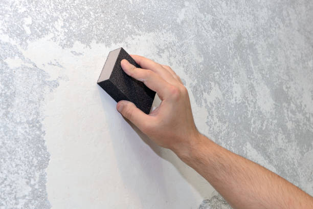 Best Real Estate Mold Inspection  in Tazewell, TN