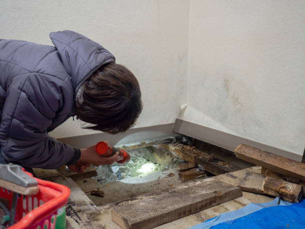 Forensic Mold Investigation in Tazewell, TN