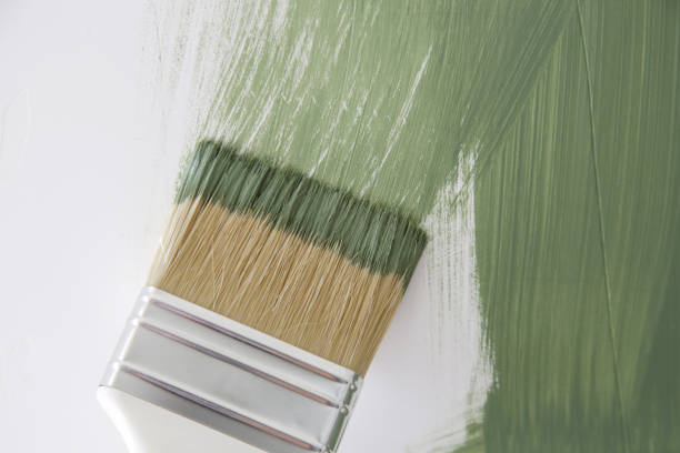 Best Mold Remediation for Healthcare Facilities  in Tazewell, TN
