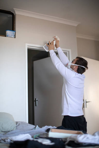 Best Air Quality Testing for Mold Spores  in Tazewell, TN