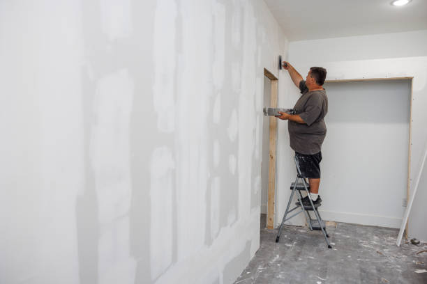 Best Post-Construction Mold Inspection  in Tazewell, TN