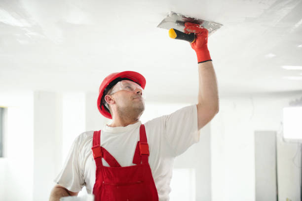 Best Environmental Consulting for Mold Prevention  in Tazewell, TN