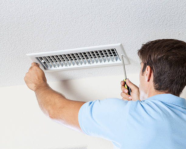 Best Emergency Mold Remediation  in Tazewell, TN