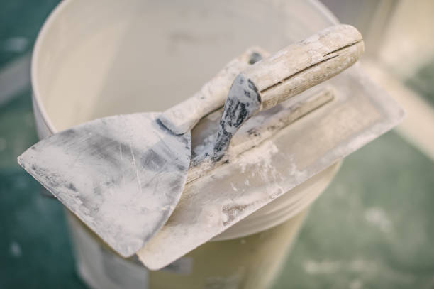Best Mold Documentation for Insurance Claims  in Tazewell, TN