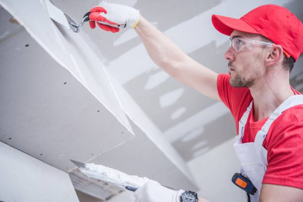 Best Water Damage & Mold Remediation  in Tazewell, TN